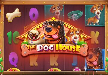 Microgaming - игровой автомат онлайн от Various с RTP 96.91%
